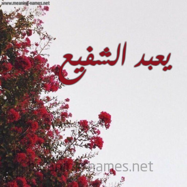 شكل 18 صوره الورد الأحمر للإسم بخط رقعة صورة اسم يعبد الشفيع Abdel-Shafie
